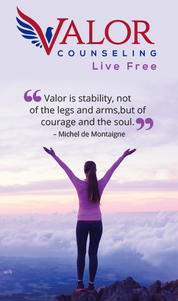 valro counseling banner